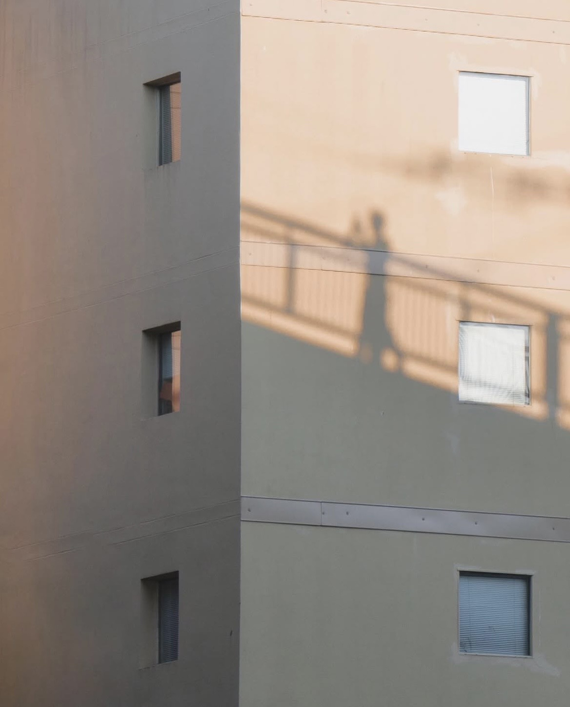 shadows