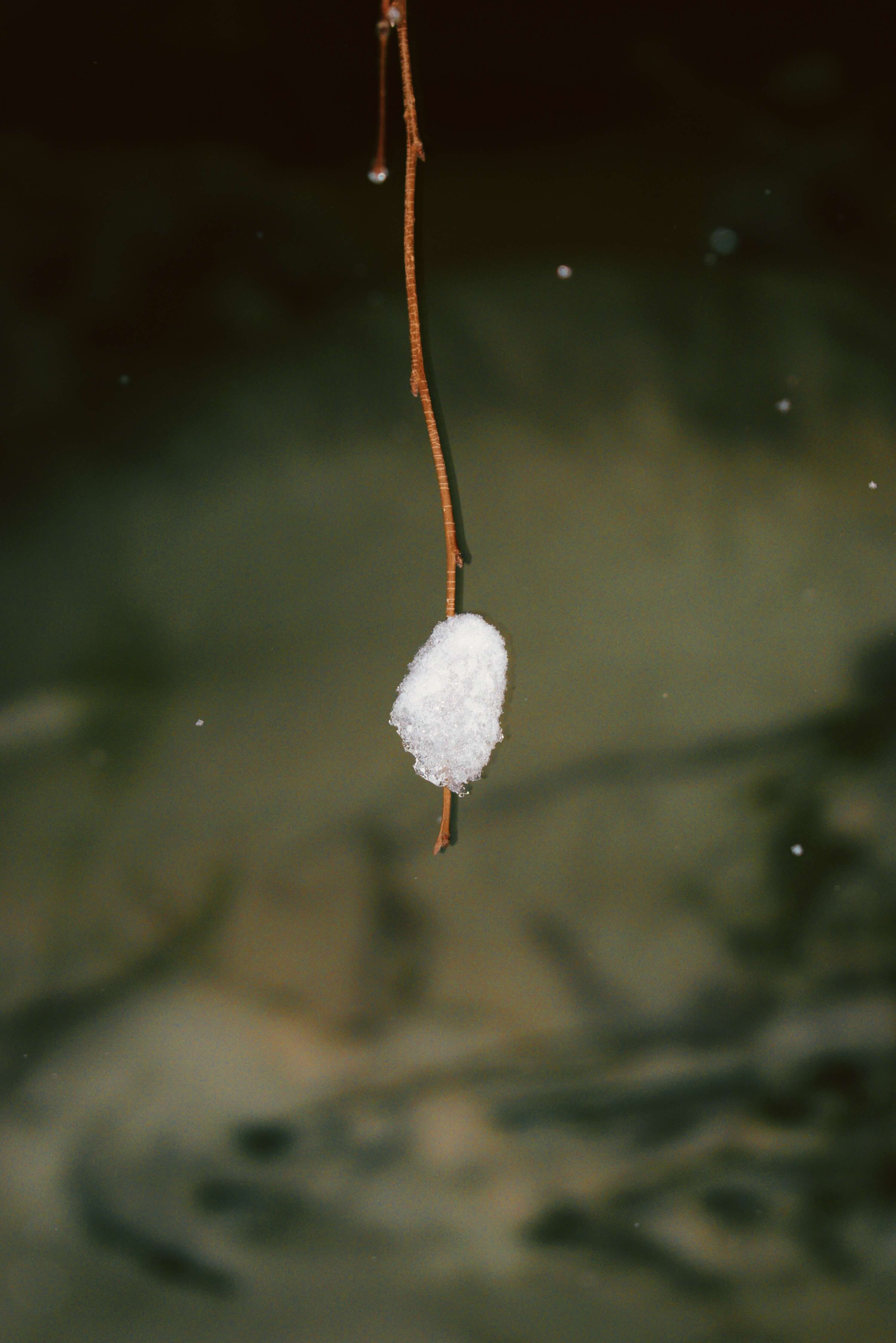 ice
