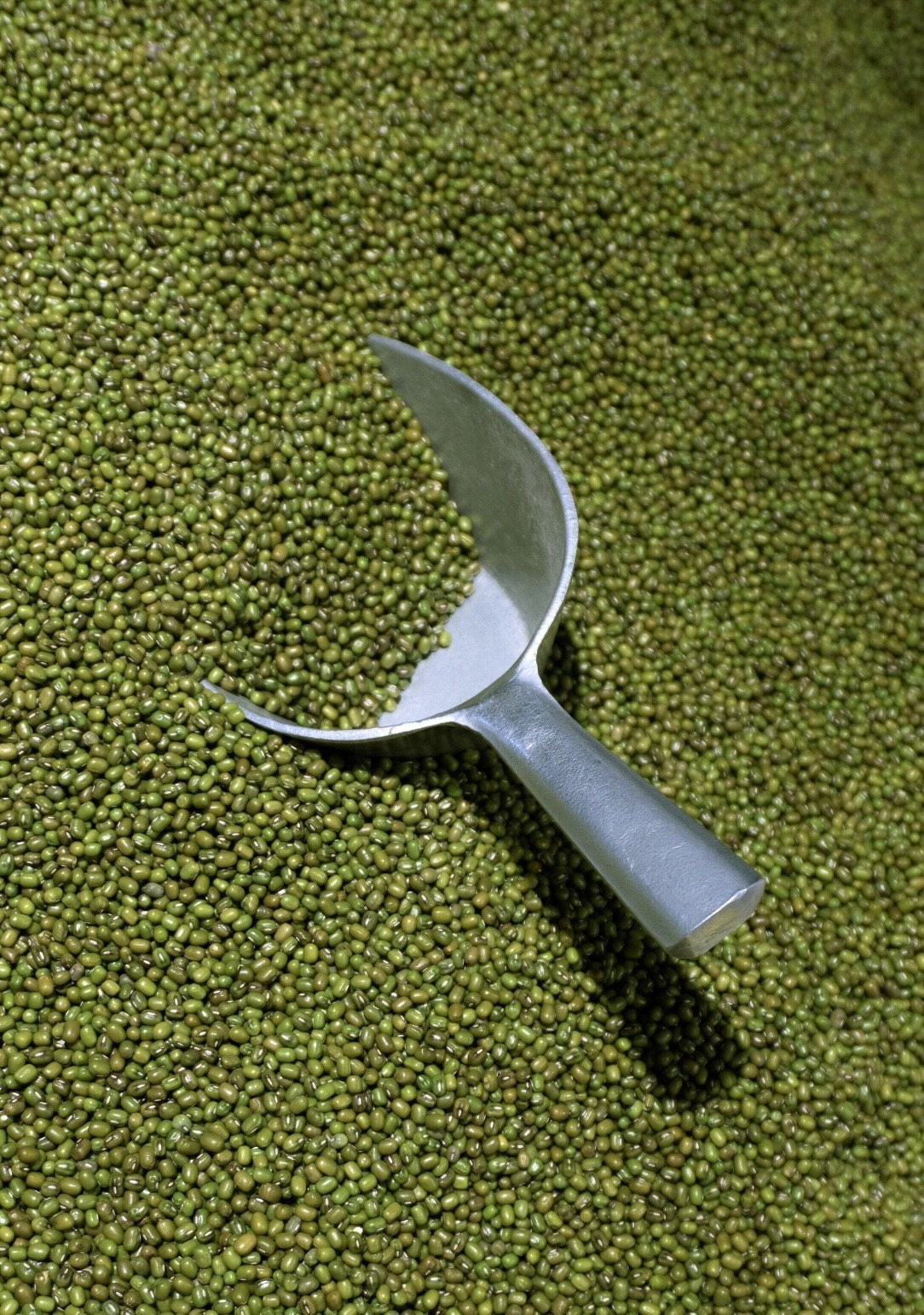 beans