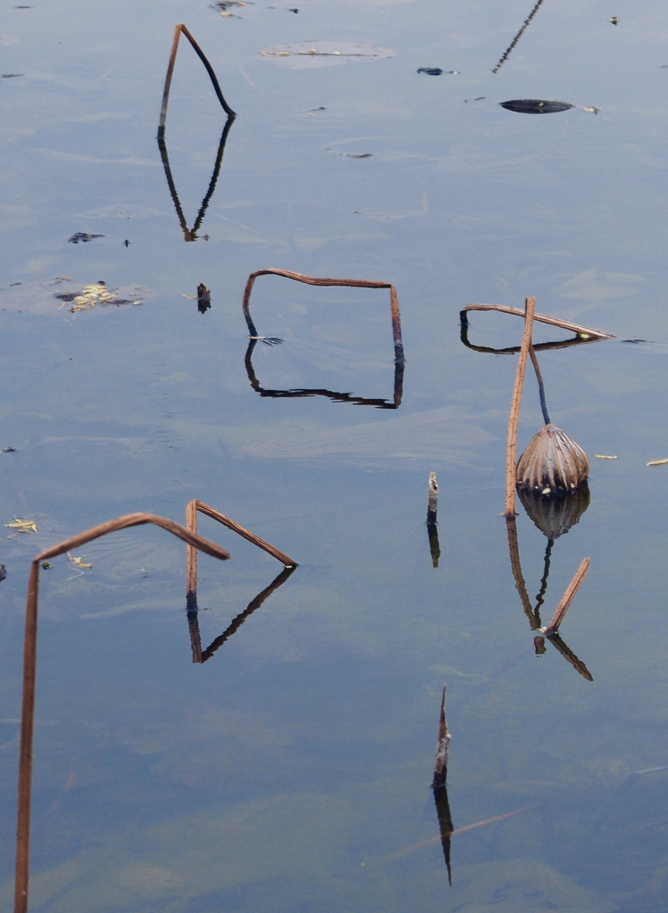 symbols
