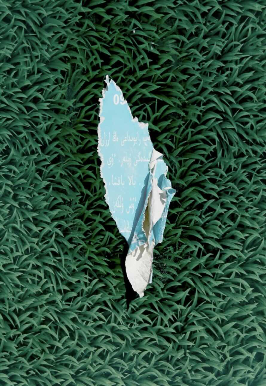 wall
