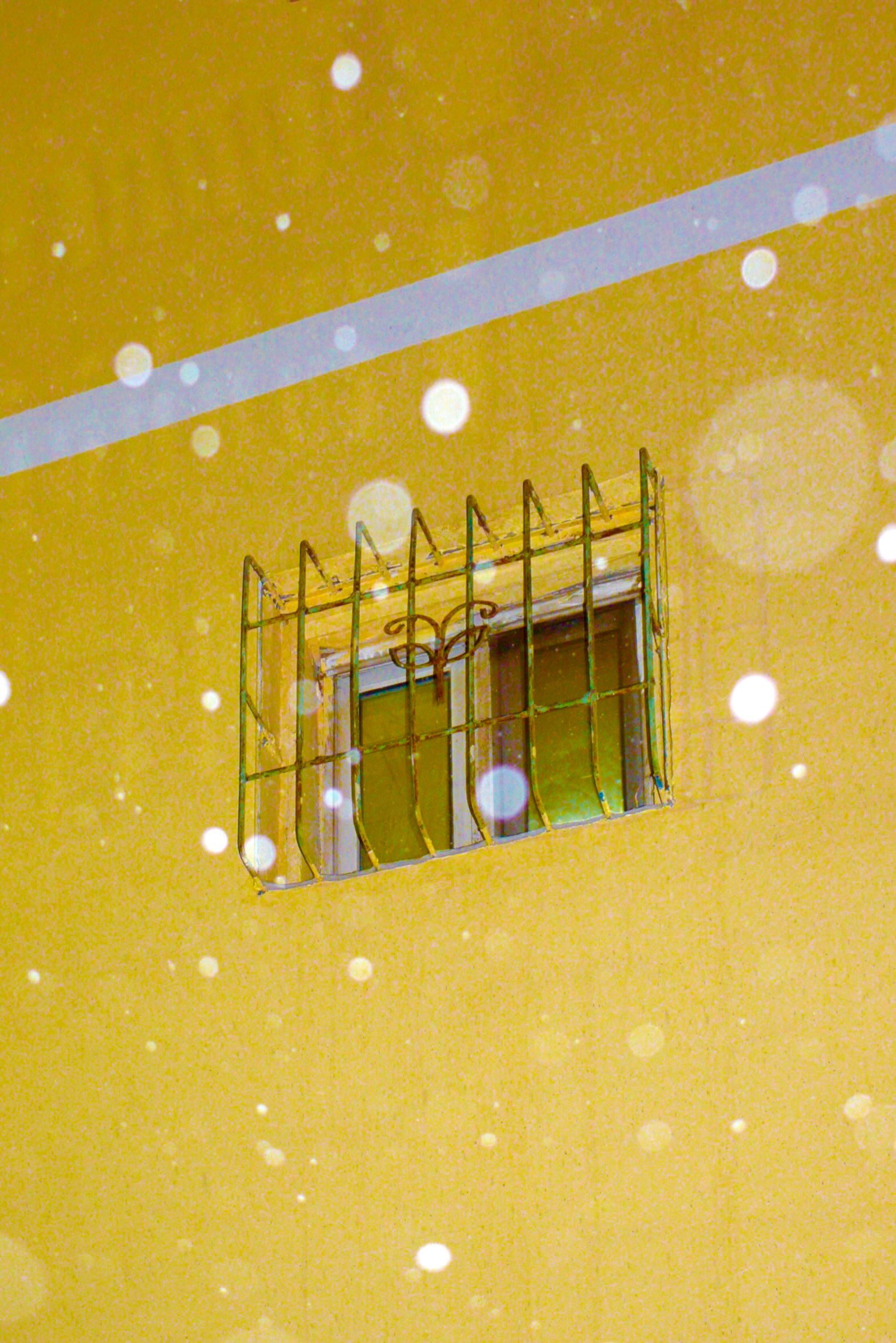 window
