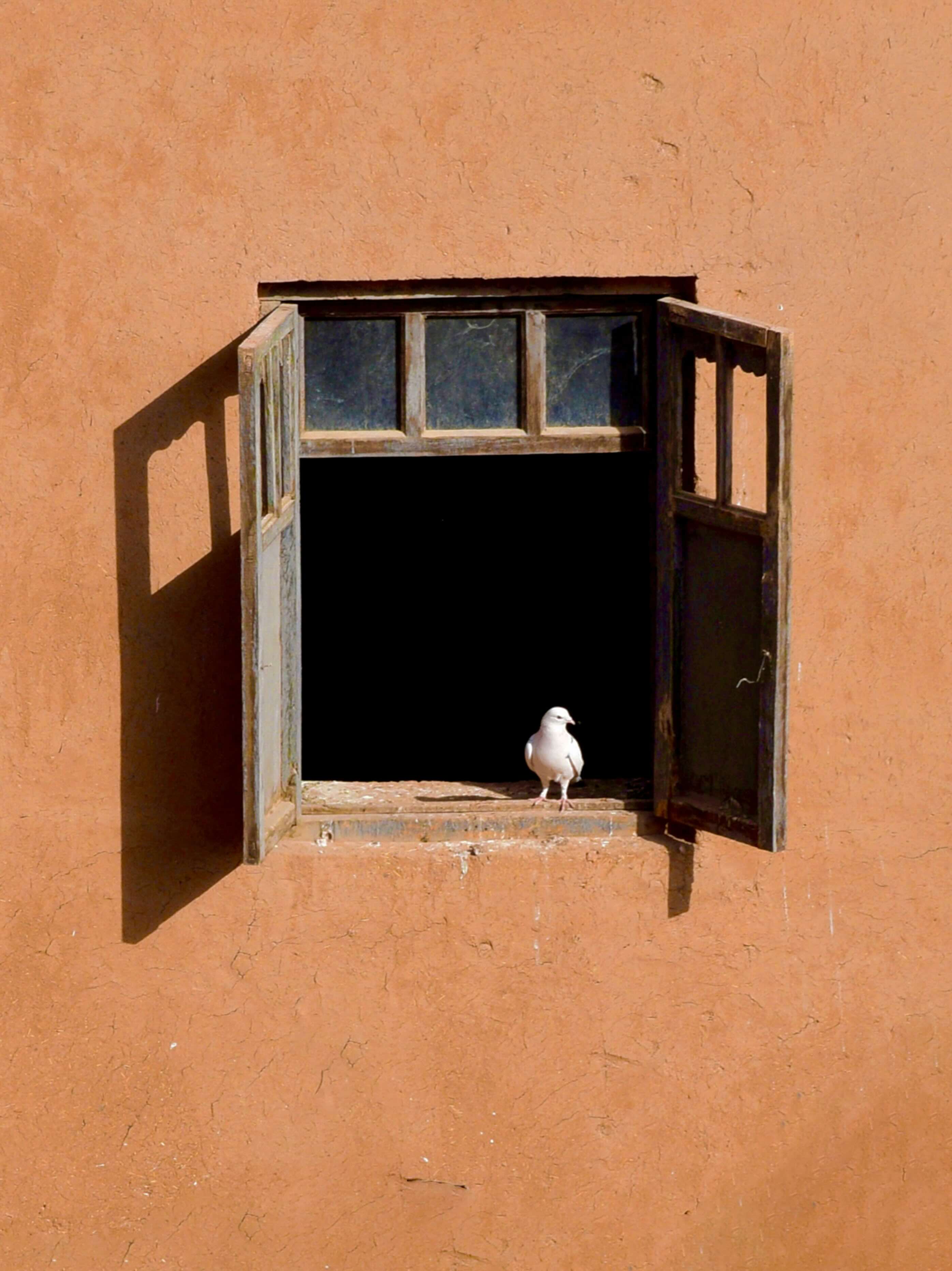 window2